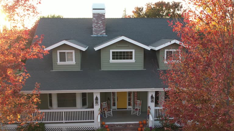 Best Sheet Metal Roofing  in Machesney Park, IL