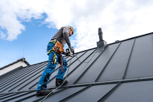 Best Steel Roofing  in Machesney Park, IL